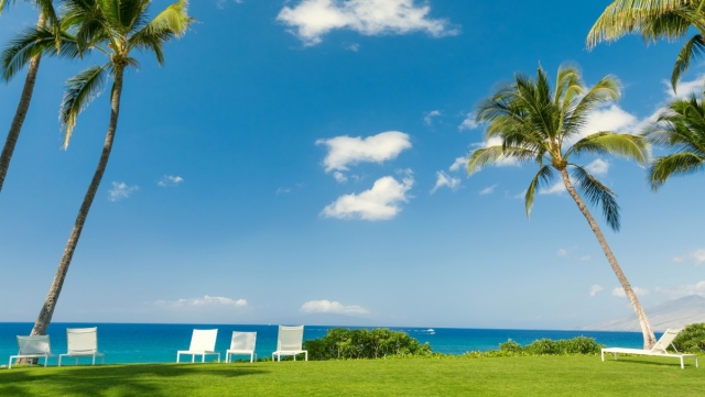 星空：塑造健美身姿的法宝：家庭篮球架室内挂墙引领你健身潮流！