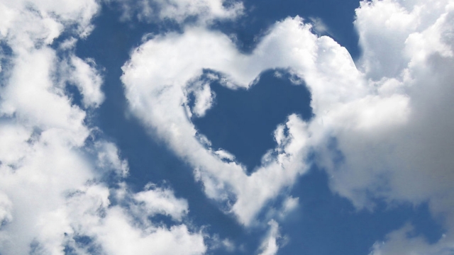 星空公司:乒乓球台属于啥类目产品